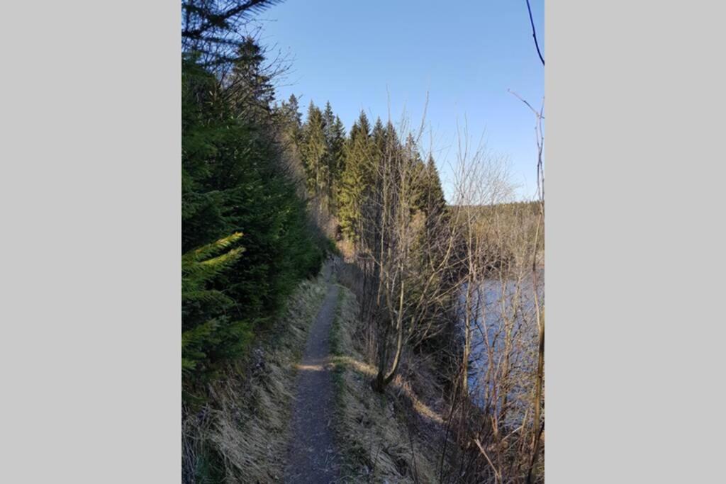 Altenauer Waldfrische Altenau  Exteriör bild