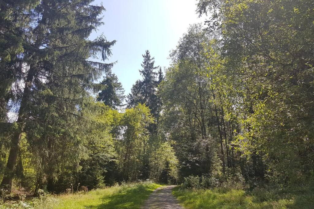Altenauer Waldfrische Altenau  Exteriör bild